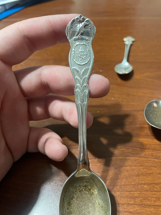 Virginia State Spoon